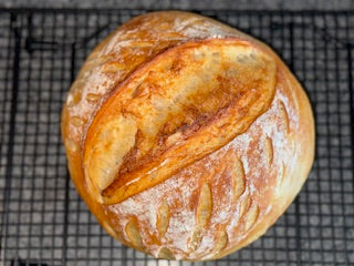 100 year old Sourdough Starter