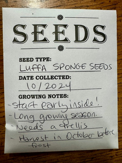 Luffa Seeds
