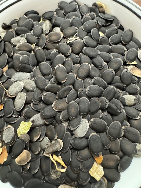 Luffa Seeds