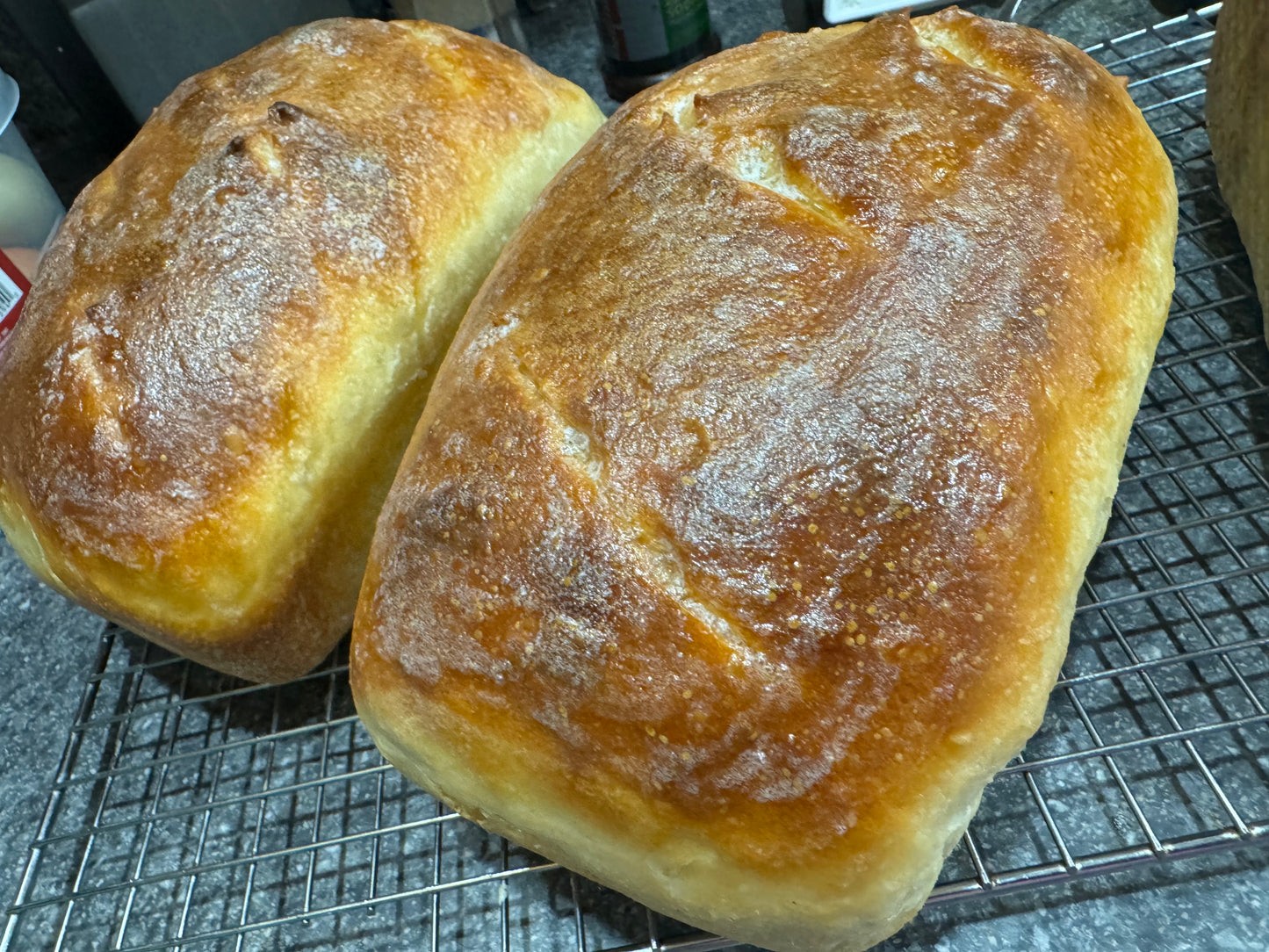 100 year old Sourdough Starter